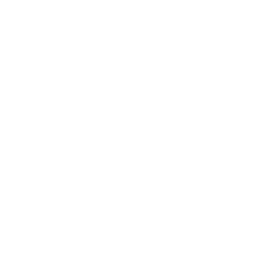 Logo Bimmer Footer